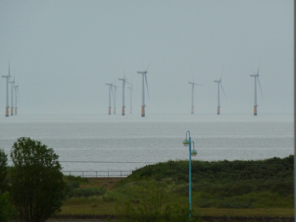 Closer View of Wind Farm